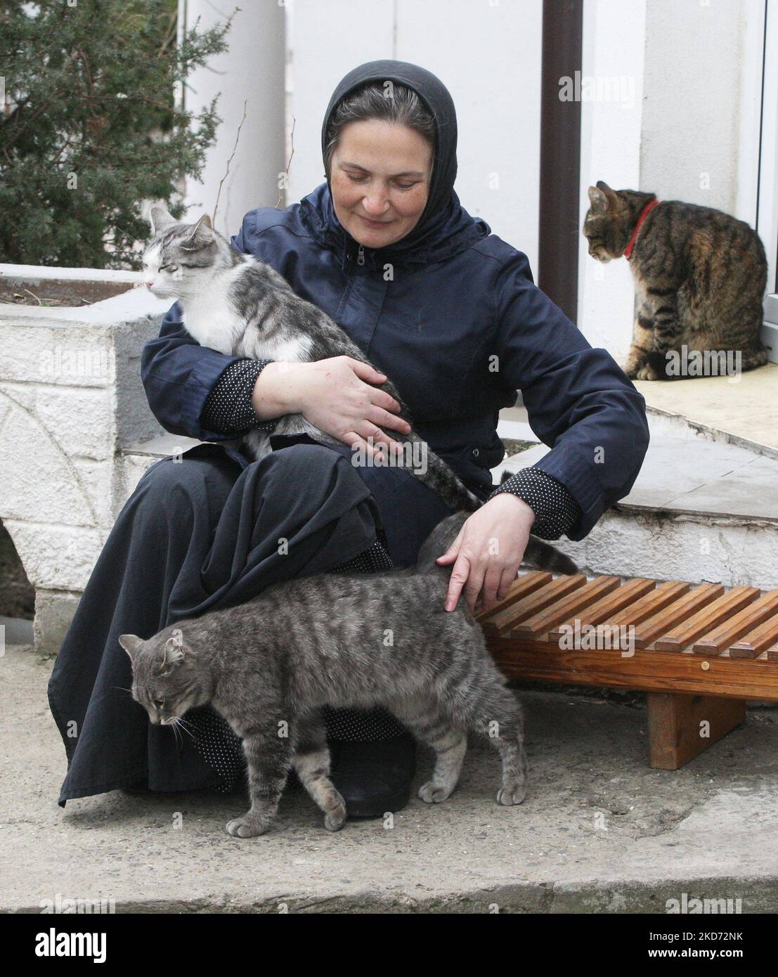 Am 7. April 2022 kümmert sich eine Nonne um Katzen im Kloster des Heiligen Erzengels - Michaels Frauen in Odesa, Ukraine. Das Frauenkloster rettet Katzen, die von ihren Besitzern, die aufgrund des Krieges geflohen sind, während der russischen Invasion in der Ukraine zurückgelassen wurden. (Foto von STR/NurPhoto) Stockfoto