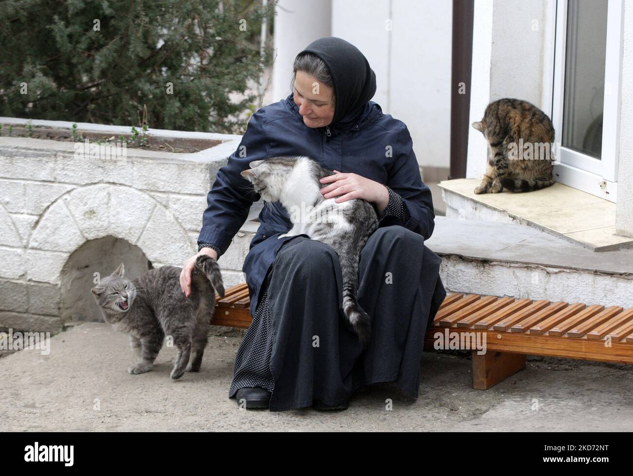 Am 7. April 2022 kümmert sich eine Nonne um Katzen im Kloster des Heiligen Erzengels - Michaels Frauen in Odesa, Ukraine. Das Frauenkloster rettet Katzen, die von ihren Besitzern, die aufgrund des Krieges geflohen sind, während der russischen Invasion in der Ukraine zurückgelassen wurden. (Foto von STR/NurPhoto) Stockfoto