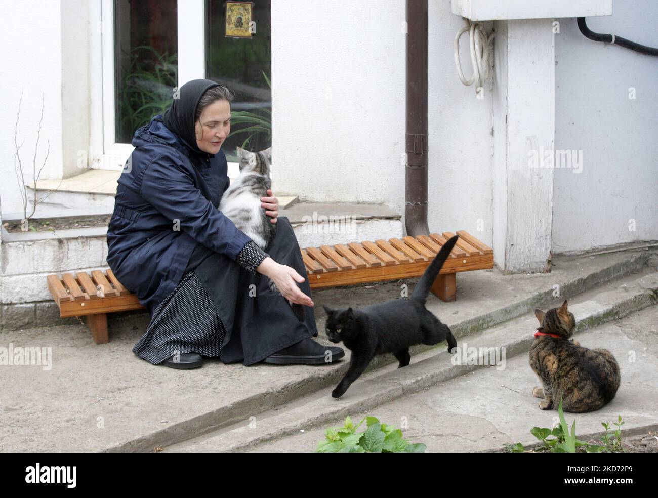 Am 7. April 2022 kümmert sich eine Nonne um Katzen im Kloster des Heiligen Erzengels - Michaels Frauen in Odesa, Ukraine. Das Frauenkloster rettet Katzen, die von ihren Besitzern, die aufgrund des Krieges geflohen sind, während der russischen Invasion in der Ukraine zurückgelassen wurden. (Foto von STR/NurPhoto) Stockfoto