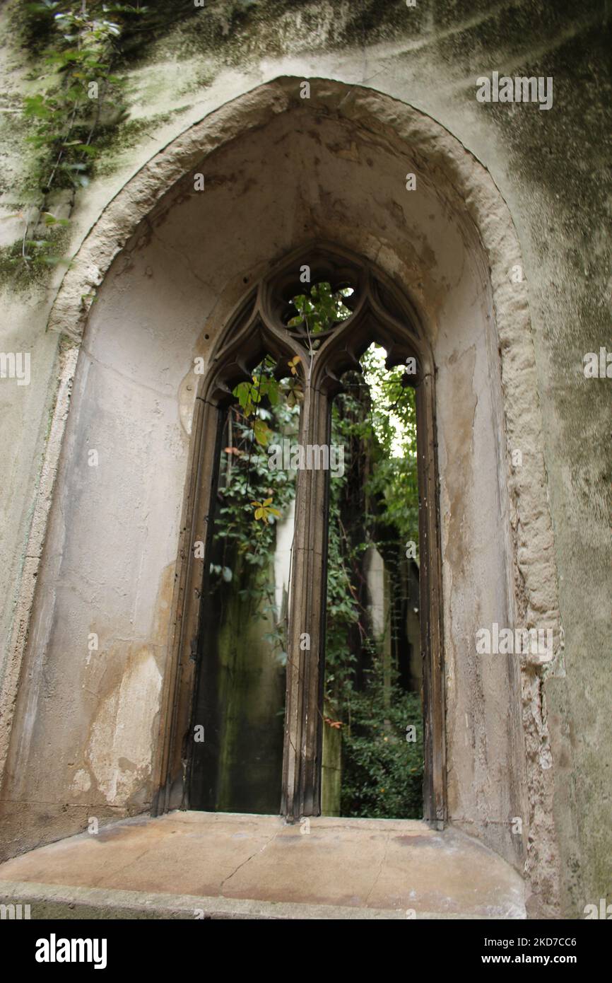 Fenster in St. Dunstan im East Church Garden, mittelalterliches Steinklosterfenster mit Moos und Weinreben, die um ihn herum wachsen (City of London) Stockfoto