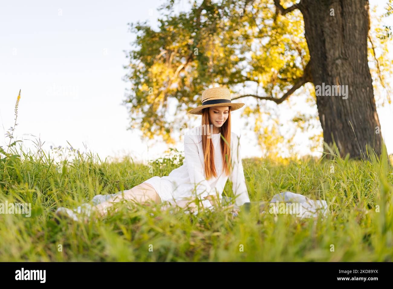 Porträt der eleganten Rotschopf junge Frau in Strohhut und weißem Kleid arbeiten auf Laptop-Computer suchen, um anzuzeigen, sitzen auf dem Feld mit grünem Gras. Stockfoto