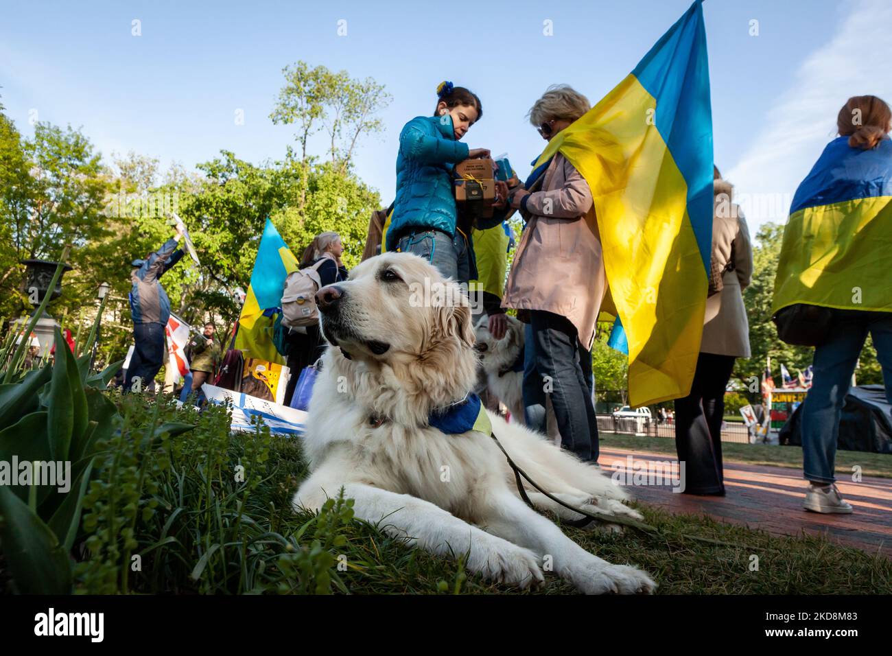 Putin marionette alexander lukaschenko -Fotos und -Bildmaterial in ...