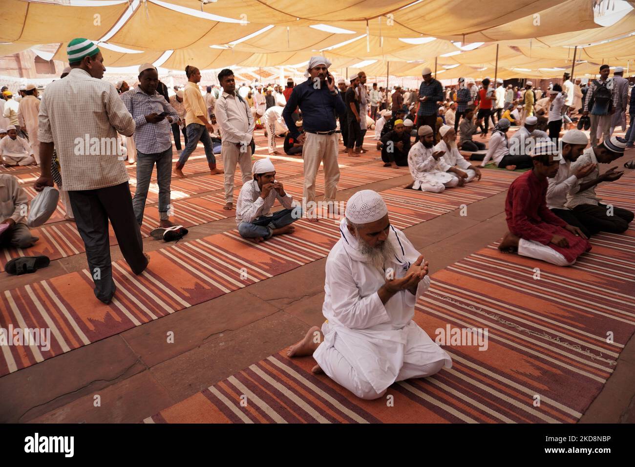 Ein muslimischer Mann betet am 29. April 2022 in Jama Masjid in den alten Vierteln von Delhi, Indien, auf der Jurat-ul-Vida oder am letzten Freitag des Fastenmonats Ramadan. (Foto von Mayank Makhija/NurPhoto) Stockfoto