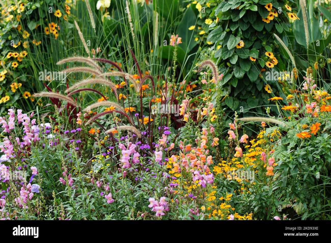 Buntes Blumenbeet im Garten Stockfoto