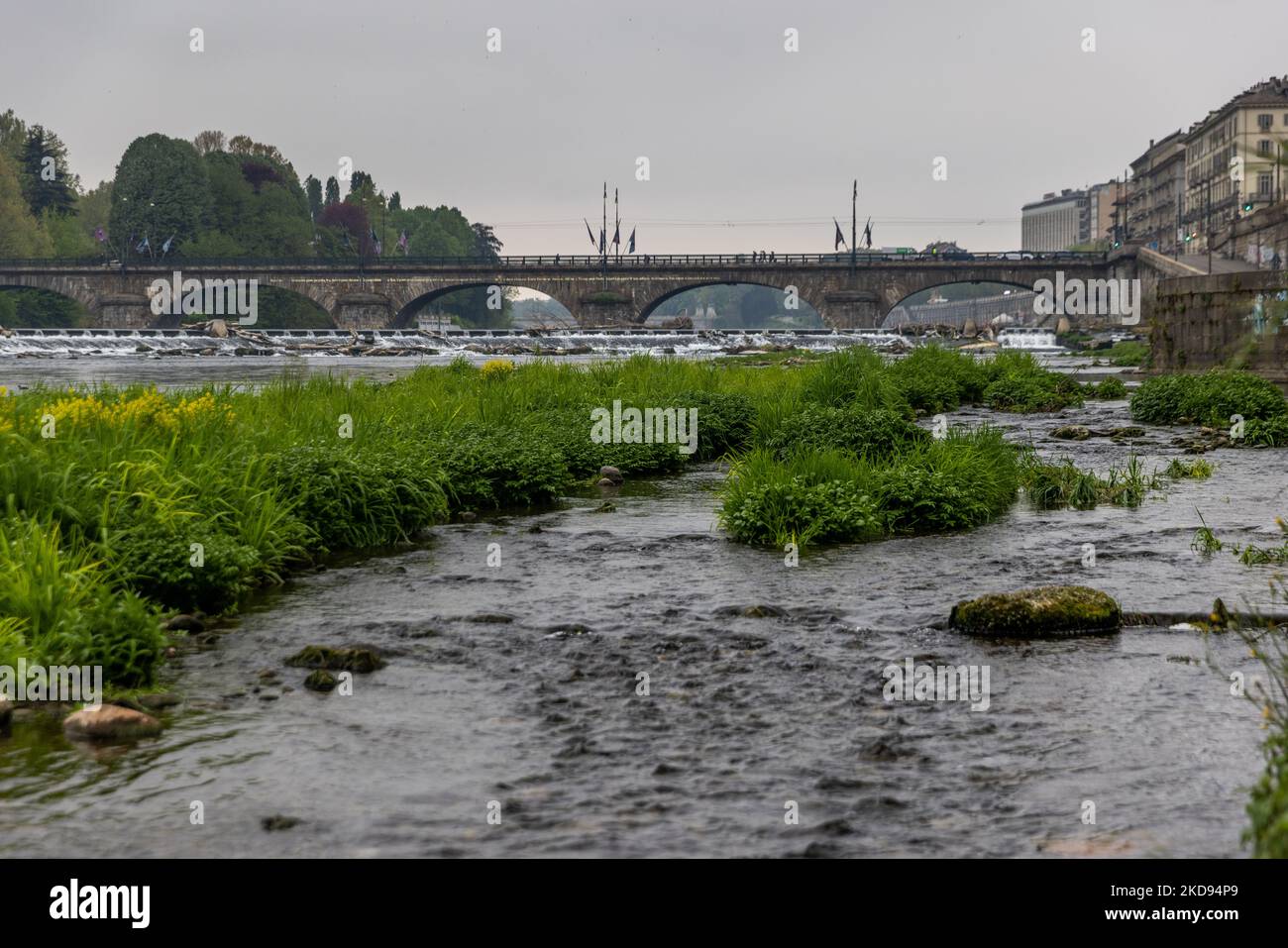 Die Wasserknappheit des Po-Flusses wurde durch die ersten schwachen Frühlingsregen nicht gemildert. Nach einer konstanten Dürreperiode haben der Po und sein Becken eine Wasserflussrate von weniger als der Hälfte des Normalwassers. Langfristige Prognosen deuten nicht darauf hin, dass sich das Wetter kurzfristig mit anhaltenden Niederschlägen ändern wird. Dürre ist kein ungewöhnliches Phänomen, aber die Häufigkeit, mit der sie in den letzten Jahren erneut auftritt, wird auch angesichts der Auswirkungen, die sie auf Tiere, Flora und landwirtschaftliche Aktivitäten hat, besorgniserregend. (Foto von Mauro Ujetto/NurPhoto) Stockfoto