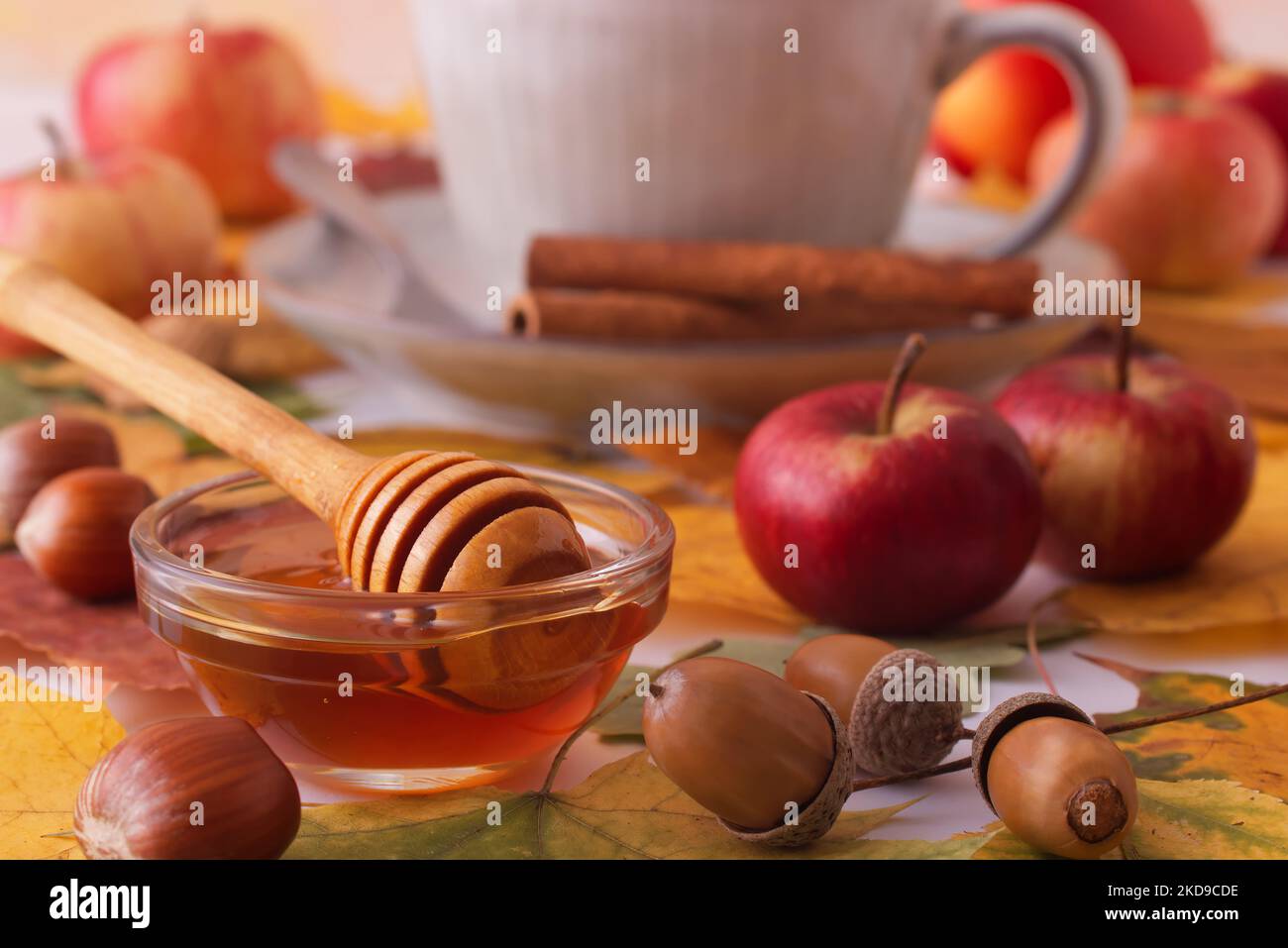 Weißer Tisch mit Herbstschmuck, einer Tasse Tee, Zimtstücken, einer Glasschale mit Honig, kleinen Äpfeln, Nüssen, bunten Baumblättern und Eicheln. Niedrig Stockfoto