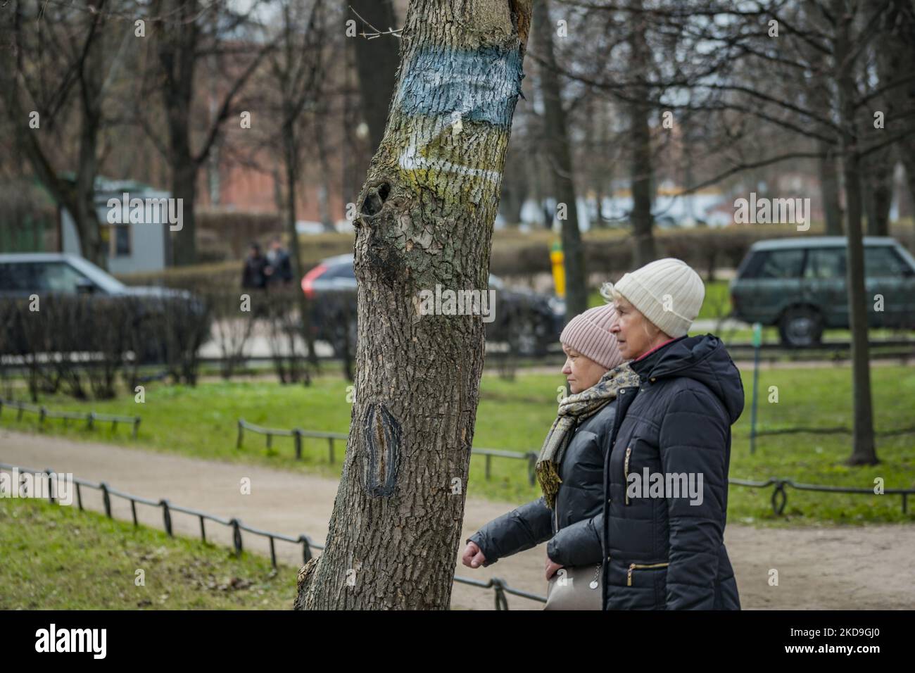 Ein Gemälde in einem Baum des Sankt Petersburger Parks mit dem Z-Symbol über der ukrainischen Flagge. Die Z malt während der Invasion Russlands in der Ukraine in die fahrzeuge der russischen Armee und ist jetzt ein Symbol für die Unterstützung des Krieges in der Ukraine. (Foto von STR/NurPhoto) Stockfoto