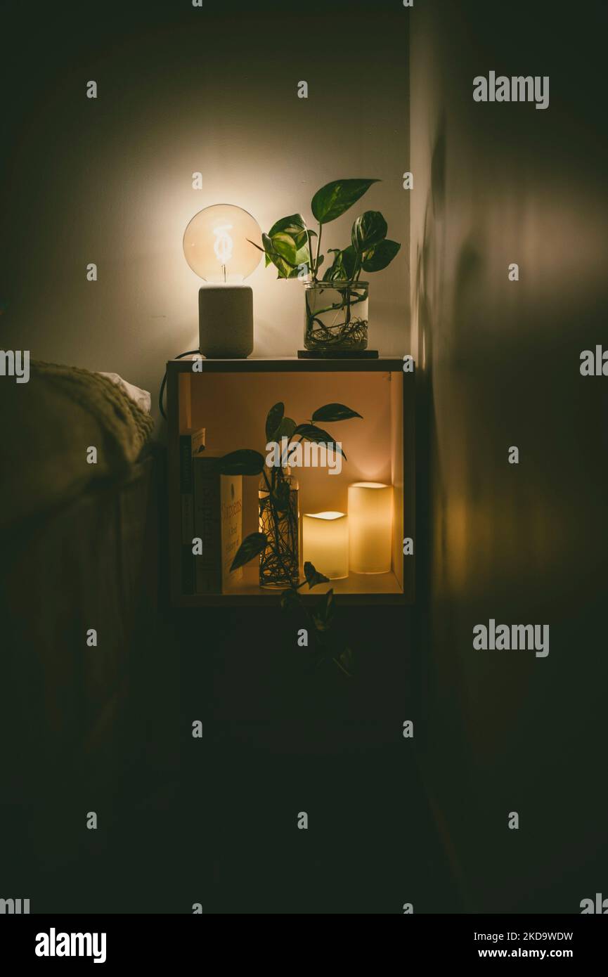 Vertikale Innenansicht eines Schlafzimmers mit Nachttisch, der mit Pflanzen und Lampen dekoriert ist Stockfoto