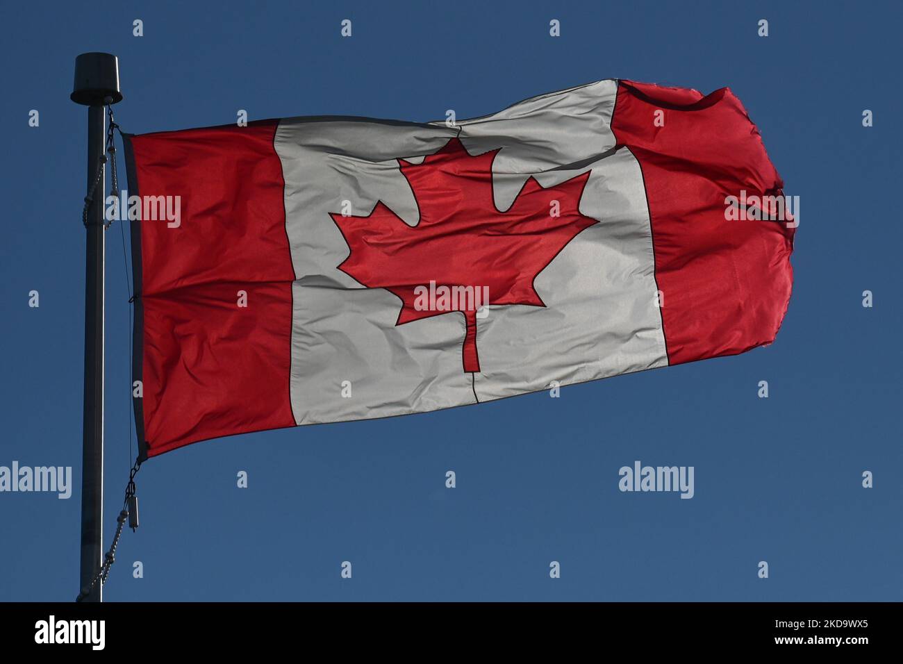 Kanadische Nationalflagge. Am Donnerstag, den 12. Mai 2022, Kanada. (Foto von Artur Widak/NurPhoto) Stockfoto