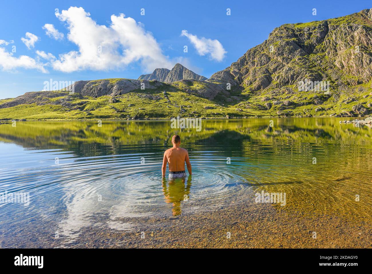 Wilde Schwimmerin in Llyn Glaslyn, Blue Lake unter dem Snowdon-Gipfel an einem schönen Sommermorgen. Stockfoto