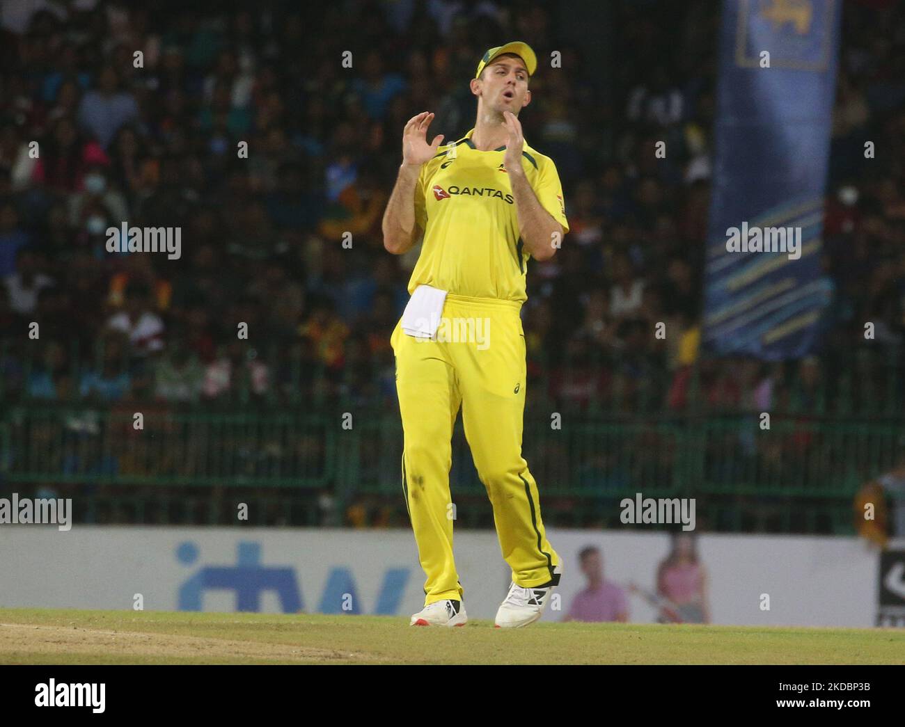 Der australische Mitchell Marsh beim zweiten Cricket-Spiel Twenty20 zwischen Sri Lanka und Australien im R. Premadasa Stadium in Colombo, Sri Lanka, am 08. Juni 2022. (Foto: Pradeep Dambarage/NurPhoto) Stockfoto