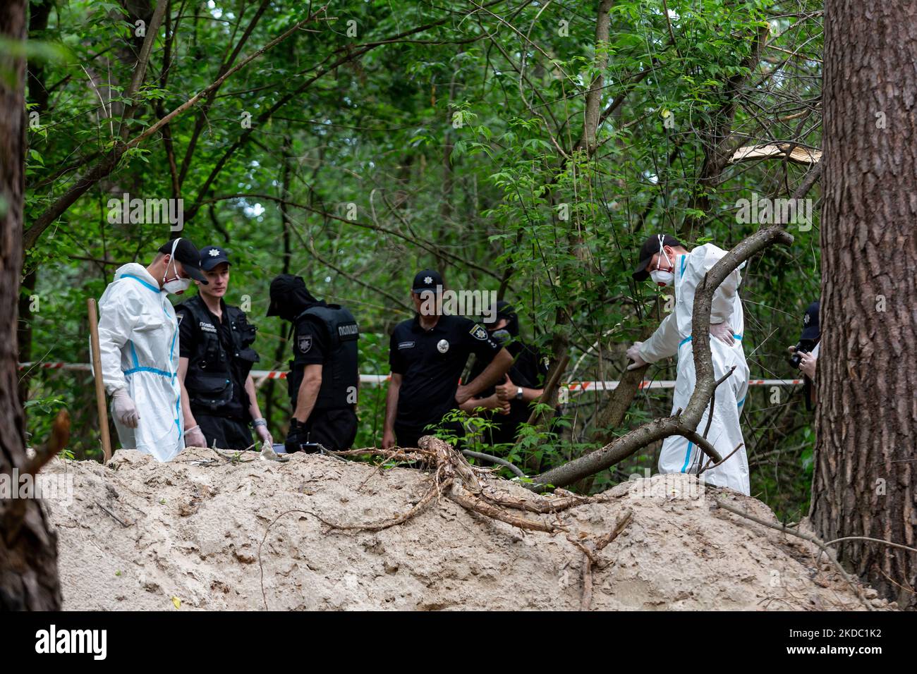Am 13. Juni 2022 arbeiten ein Aushubteam und eine Polizei in einem Wald in der Nähe von Bucha, Ukraine, um Leichen ukrainischer Zivilisten auszugraben, die von der russischen Armee ermordet wurden. Die Leichen wurden von einer Patrouille der Territorialen Verteidigungskräfte entdeckt und befanden sich in der Nähe von Tranchen, die von der russischen Armee bei der Besetzung des Territoriums errichtet wurden. Aus einem Massengrab wurden sieben Leichen ausgegraben. Einige der Körper haben Anzeichen dafür, dass sie gefesselt und beschossen wurden. Eine Untersuchung wird folgen. (Foto von Dominika Zarzycka/NurPhoto) Stockfoto