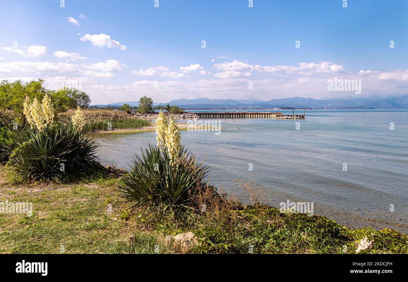 Seeblick von Peschiera, Lago di garda (Gardasee), Italien Stockfoto