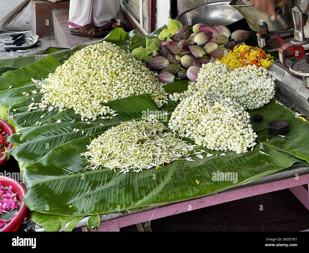 Jasminblüten (die für Damen aufgereiht werden müssen, um sie in den Haaren zu tragen) vor einem Blumenladen entlang einer belebten Straße am Chalai-Markt in Thiruvananthapuram (Trivandrum), Kerala, Indien, am 27. Mai 2022. (Foto von Creative Touch Imaging Ltd./NurPhoto) Stockfoto