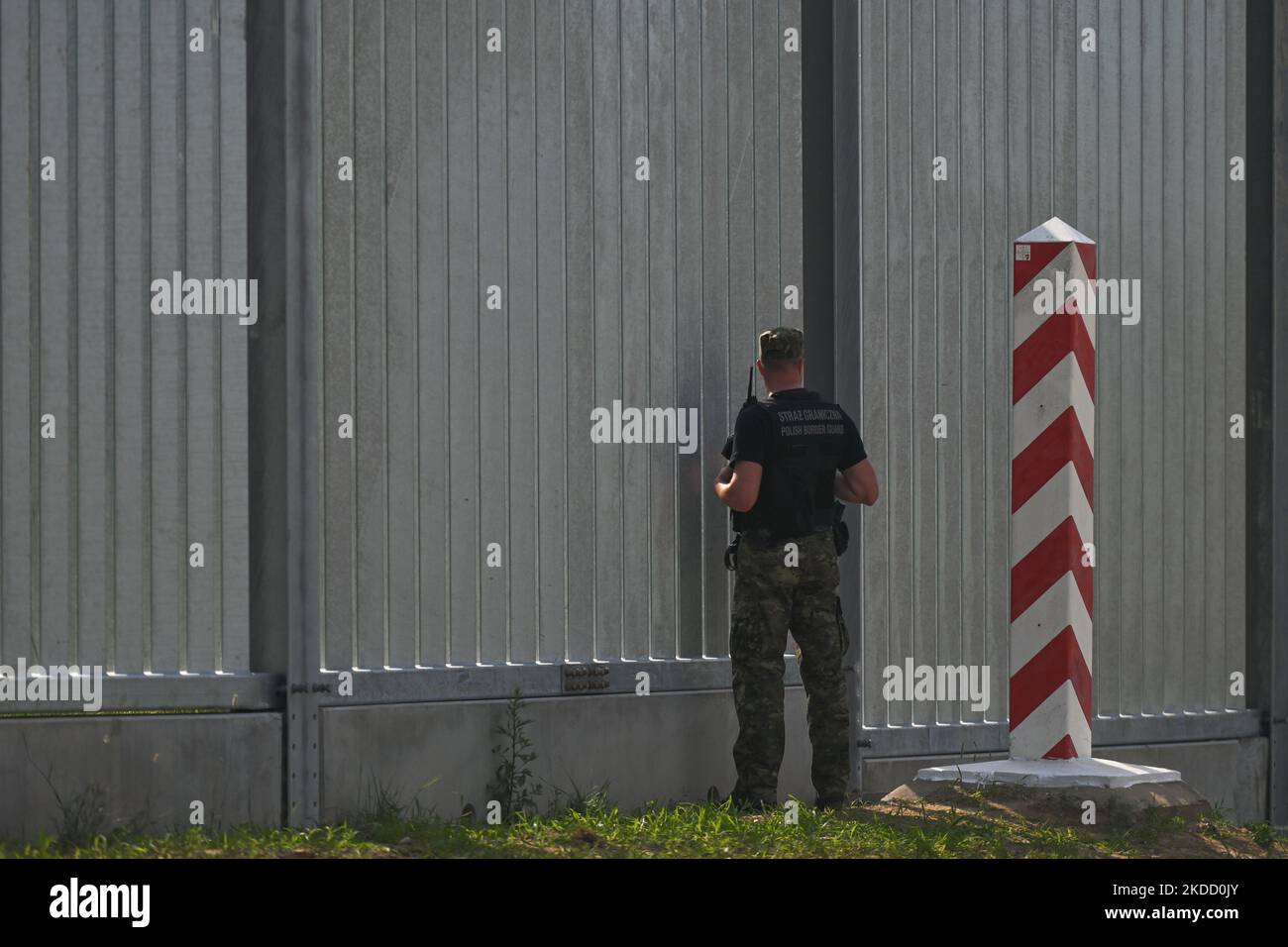 Der polnische Grenzposten blickt durch einen neuen Zaun an der polnisch-weißrussischen Grenze in der Nähe des Dorfes Nowdziel. Premierminister Mateusz Morawiecki erschien an der polnisch-weißrussischen Grenze an der Grenzmauer, die die polnische Regierung als „physische Barriere“ bezeichnete. Er beteiligte sich an der Übergabe dieser Stahl- und Betonkonstruktion an den Grenzschutz durch den Auftragnehmer des Projekts, die Firmen Budimex, Unibep und Budrex. Die Grenzmauer an der polnisch-weißrussischen Grenze wurde mit 50.000 Tonnen Stahl errichtet. Es ist 5,5 Meter hoch, mit einem Rasierdraht gekrönt und erstreckt sich über 186,25 km Stockfoto