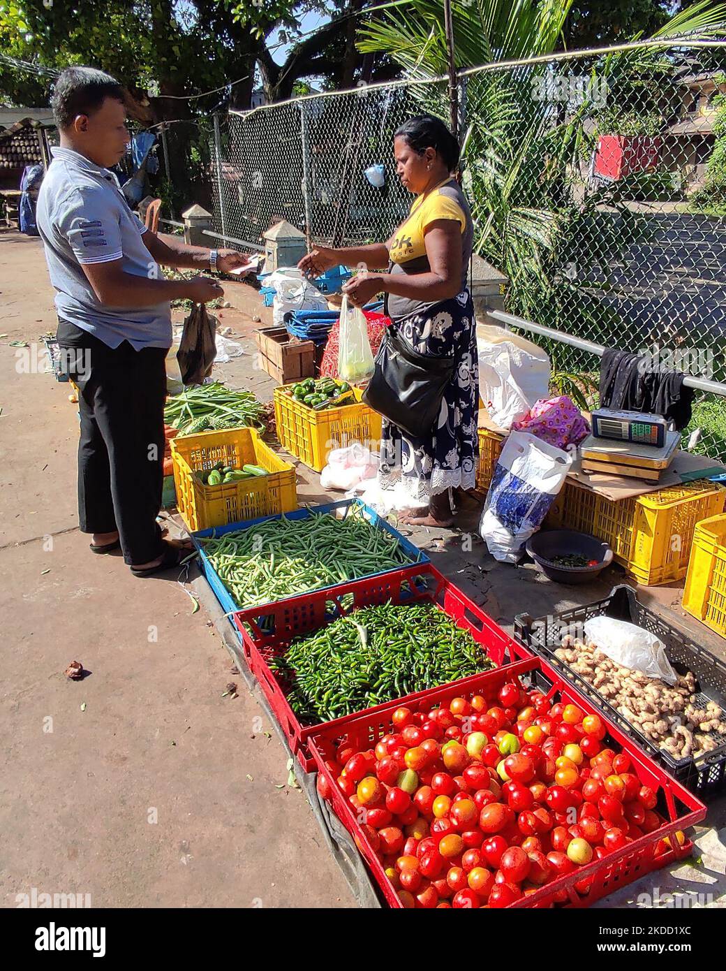 Ein Sri-lankischer kauft Gemüse und Obst von einem lokalen Markt in Colombo, Sri Lanka. 1. Juli 2022. Die Inflation in Sri Lanka erreichte im Juni einen neunten Rekord in Folge, wie offizielle Daten am Freitag (1. Juli) zeigten und stieg auf 54,6 Prozent einen Tag, nachdem der IWF die bankrotte Nation aufgefordert hatte, galoppierende Preise und Korruption einzudämmen. Die Lebensmittelpreise sind nach Angaben der Volkszählung und Statistik seit Februar 2020 um 102,7 Prozent gestiegen. (Foto von Tharaka Basnayaka/NurPhoto) Stockfoto