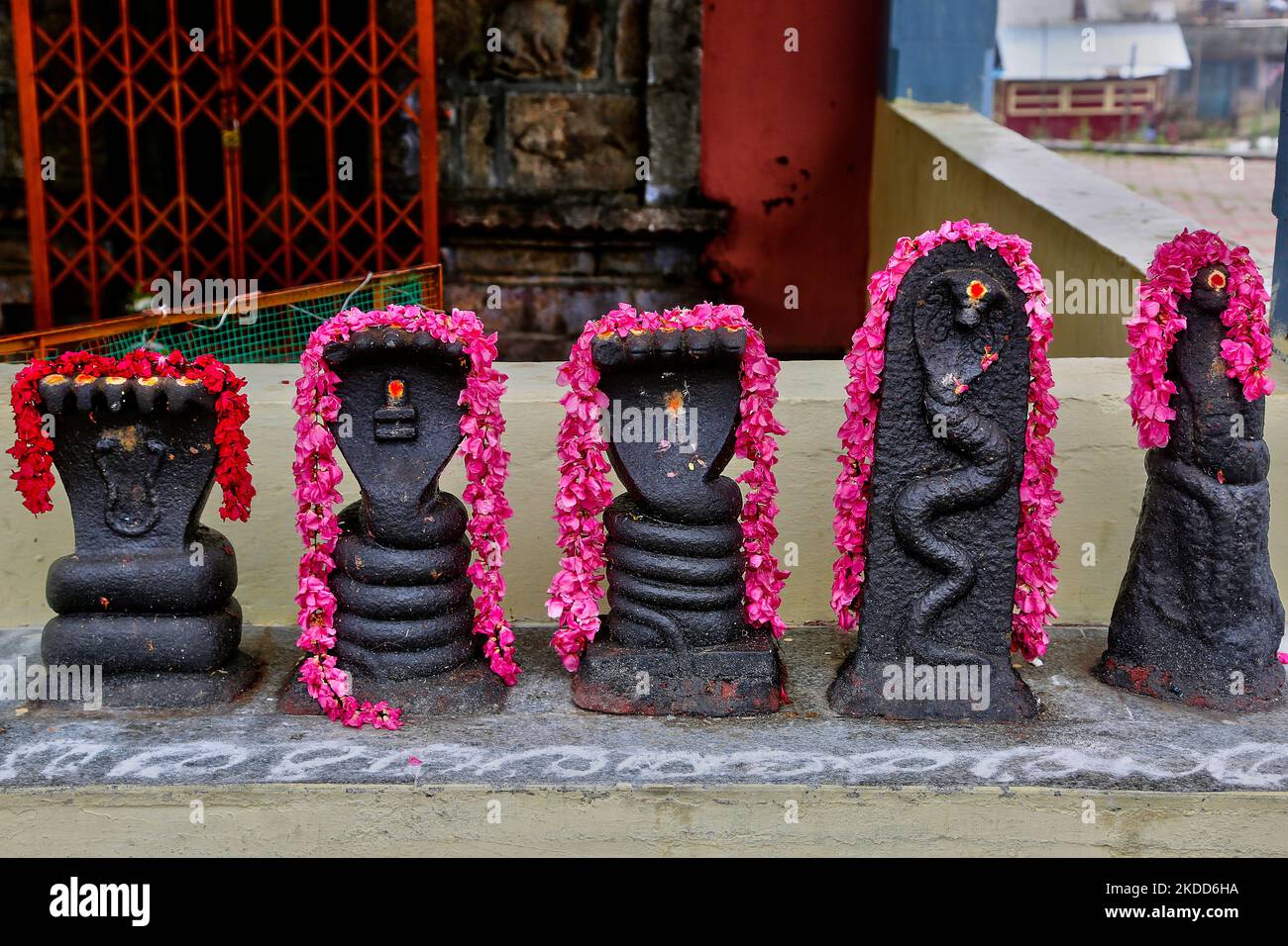 Steine, die am 17. Mai 2022 im Dorf Poombarai in Kodaikanal, Tamil Nadu, Indien, im Kuzhanthai Velappar Tempel (Arulmigu Kuzhanthai Velappar Thirukkovil) mit Schlangen zu Ehren von Herrn Shiva geschnitzt wurden. Der Tempel ist über 3000 Jahre alt wurde von seiner Heiligkeit Bhogar geweiht. (Foto von Creative Touch Imaging Ltd./NurPhoto) Stockfoto