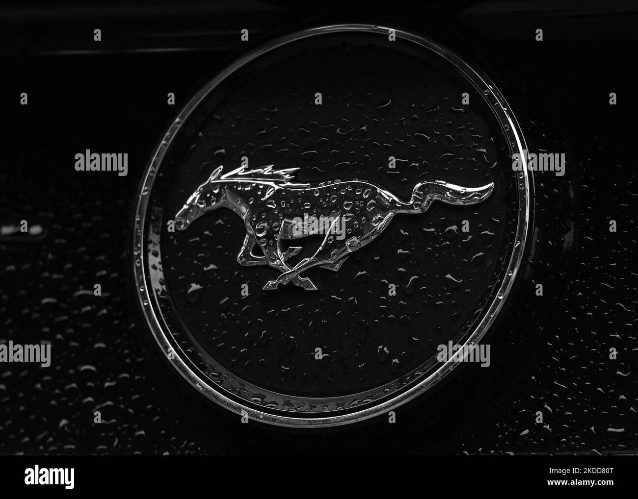 Mustang Logo auf Mustang Fahrzeug geparkt in Krakau Zentrum gesehen. Am Dienstag, den 05. Juli 2022, in Krakau, Polen. (Foto von Artur Widak/NurPhoto) Stockfoto