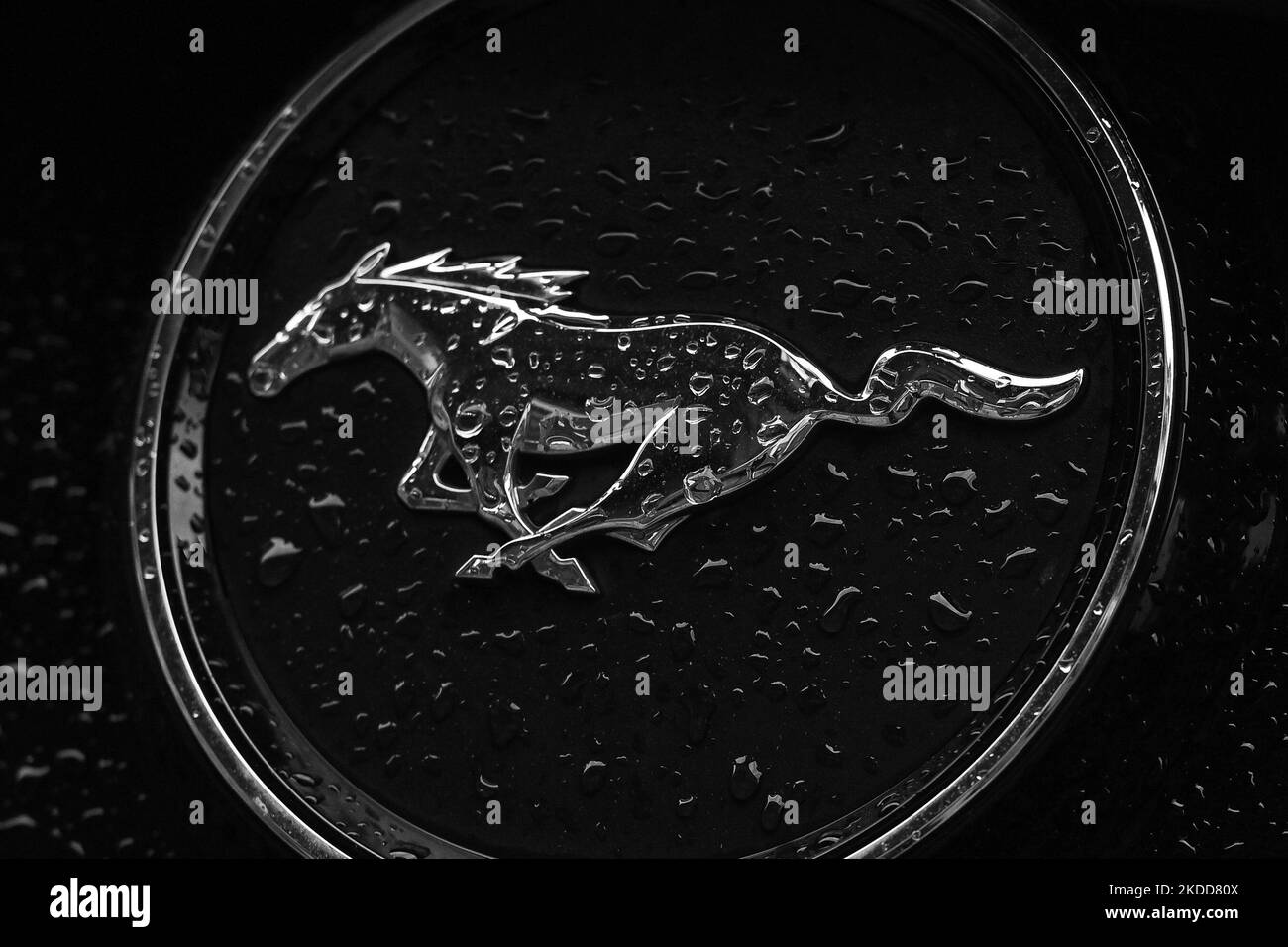 Mustang Logo auf Mustang Fahrzeug geparkt in Krakau Zentrum gesehen. Am Dienstag, den 05. Juli 2022, in Krakau, Polen. (Foto von Artur Widak/NurPhoto) Stockfoto