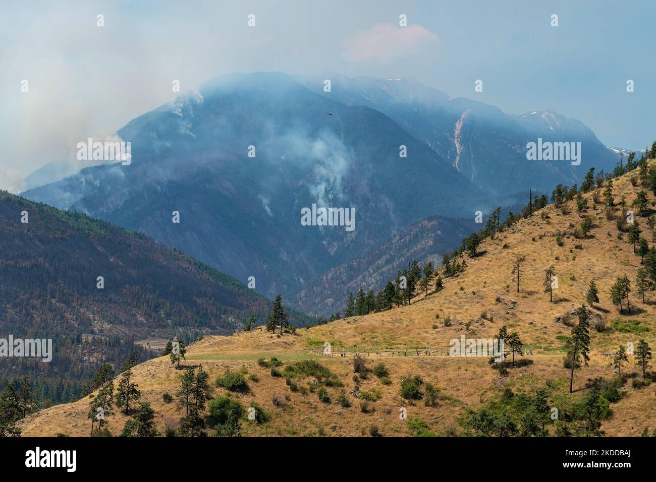 Waldbrände im Sommer in den Rocky Mountains von British Columbia, Kanada. Stockfoto