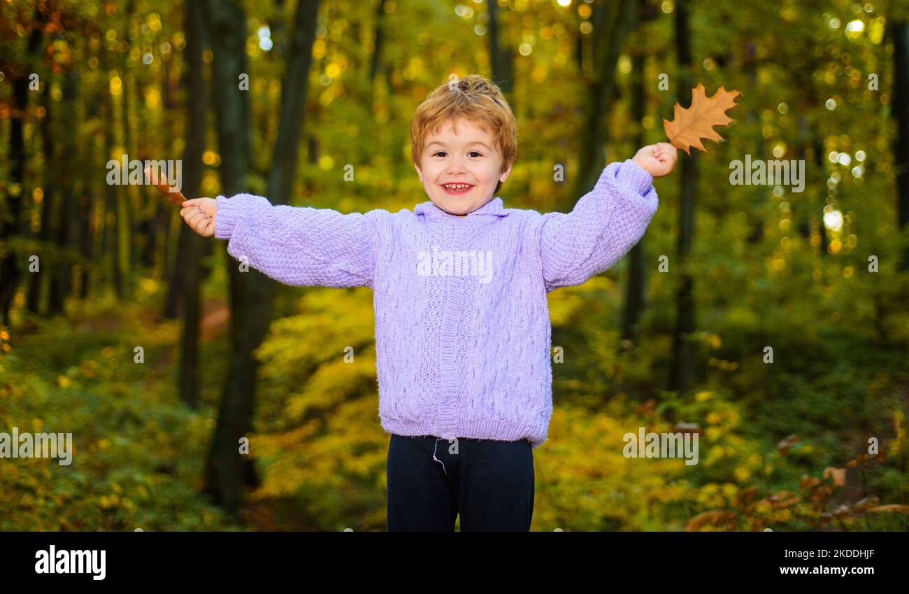 Fröhlicher Junge, der im Herbstpark spielt. Niedliches Kind im Pullover mit herbstlichen Eichenlaub im Wald. Stockfoto