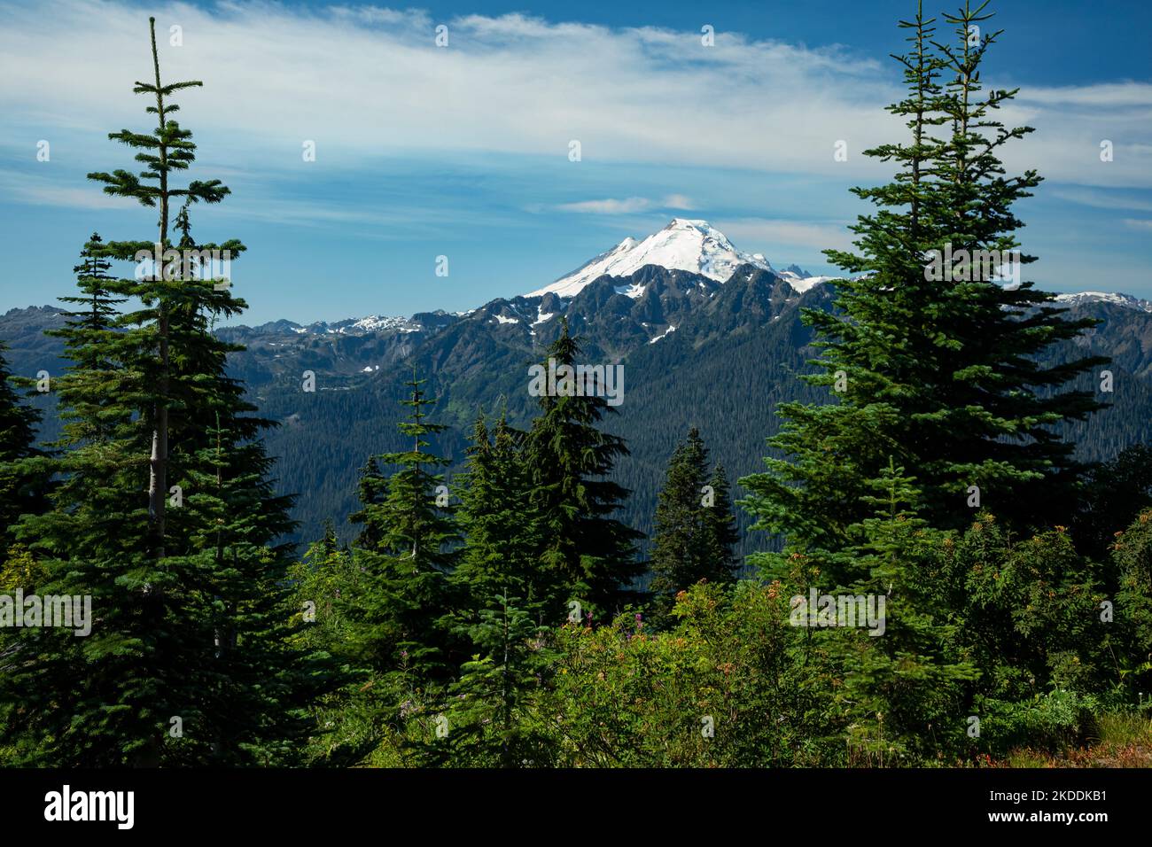 WA22719-00...WASHINGTON - Mount Baker von der Stelle des Goat Mountain Lookout in der Mount Baker Wilderness Area aus gesehen; Mount Baker-Snoqualmie NF. Stockfoto