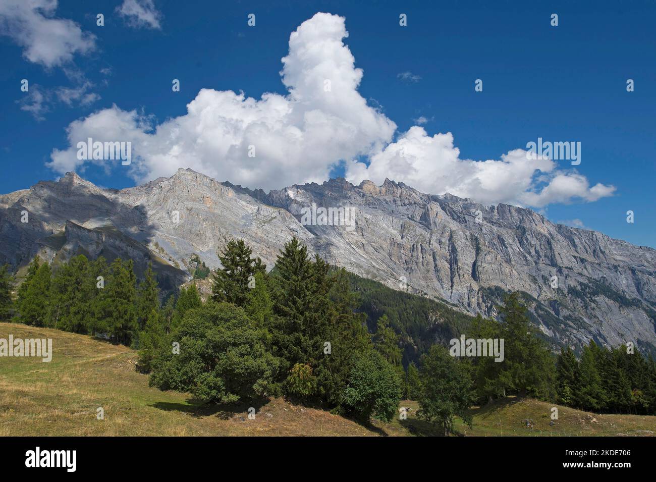 Steile Südflanke der Haut de Cry, Mayens-de-Chamoson, Wallis, Schweiz Stockfoto