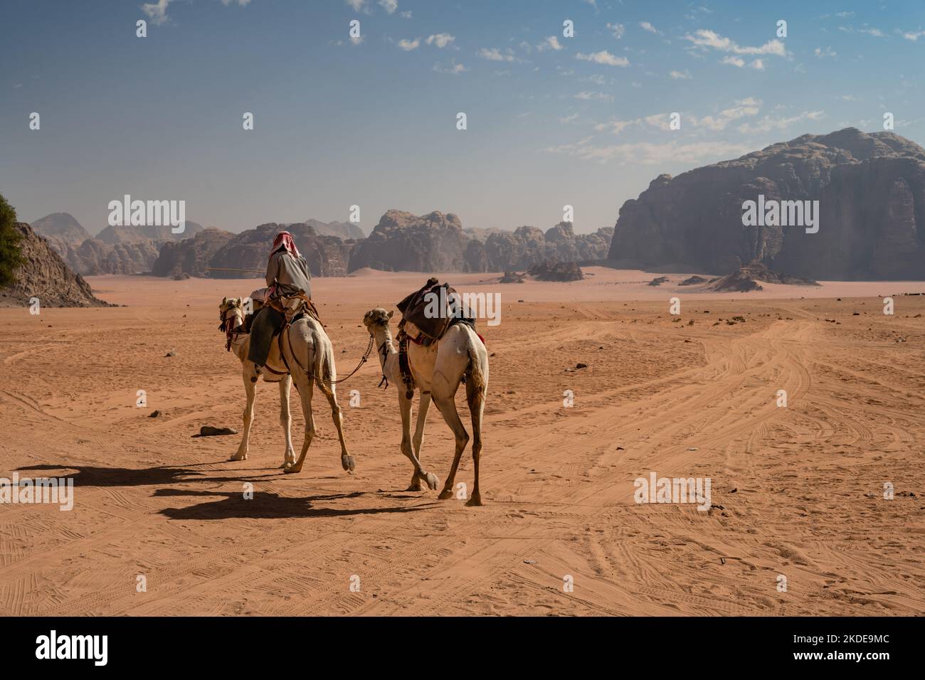 Arabische Beduinen reiten auf einem Dromedary-Kamel in Wadi Rum, Jordanien Stockfoto