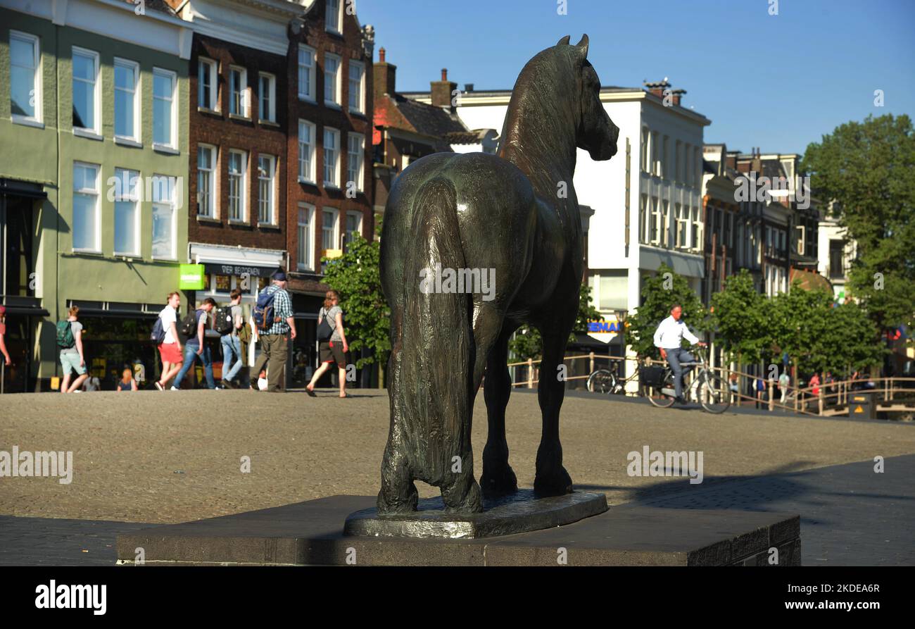 Die niederländische Stadt Friesland wurde am 7,5 zur Kulturhauptstadt Europas 2018, Stadtansichten gewählt. 2018 in Leeuwarden.Friesian Horse, NDL, Niederlande Stockfoto