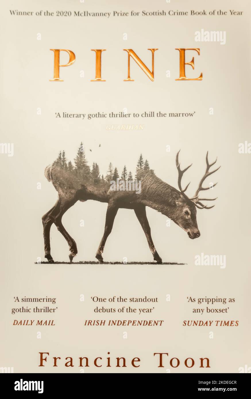 Pine: Das Spine-Chillling Sunday Times Bestseller Buch von Francine Toon 2020 Stockfoto