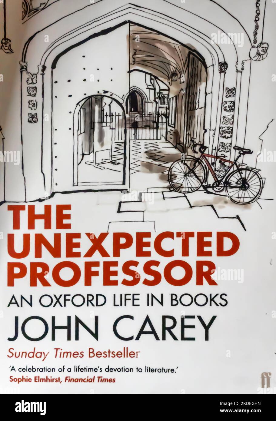The Unexpected Professor: An Oxford Life in Books Book von John Carey 2014 Stockfoto