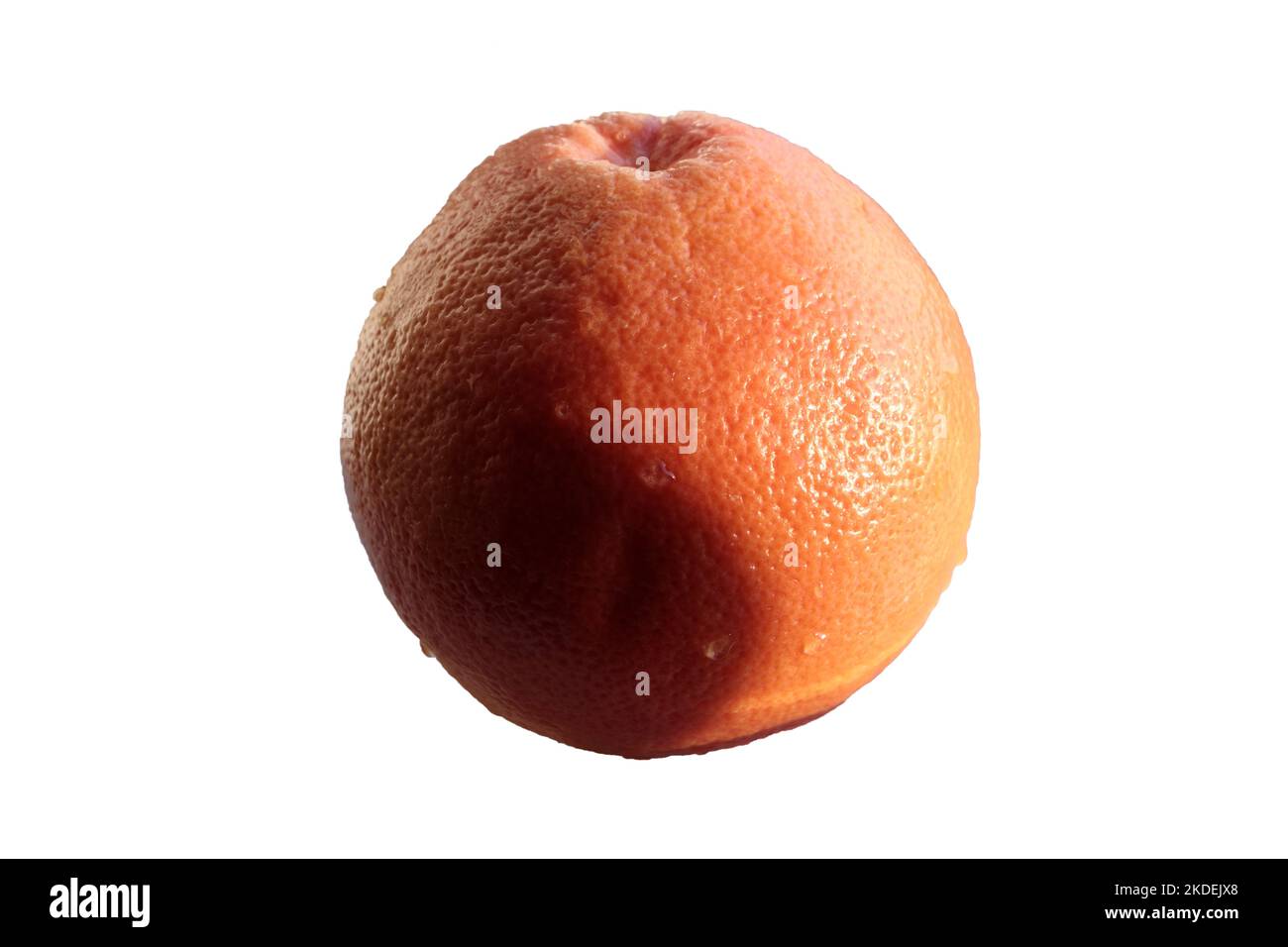 Grapefruit fotografiert im Hintergrundlicht. Isoliert auf weißem Hintergrund. Nahaufnahme. Stockfoto