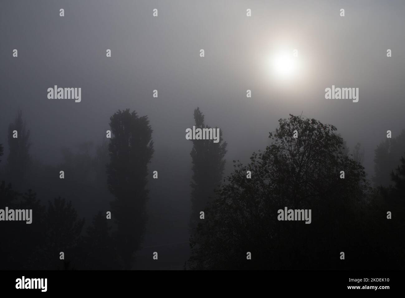 Nebliger Morgen mit Bäumen im Vordergrund. Sehr düstere Landschaft. Stockfoto Nebliger Morgen mit Bäumen im Vordergrund. Sehr düstere Landschaft. Stockfoto