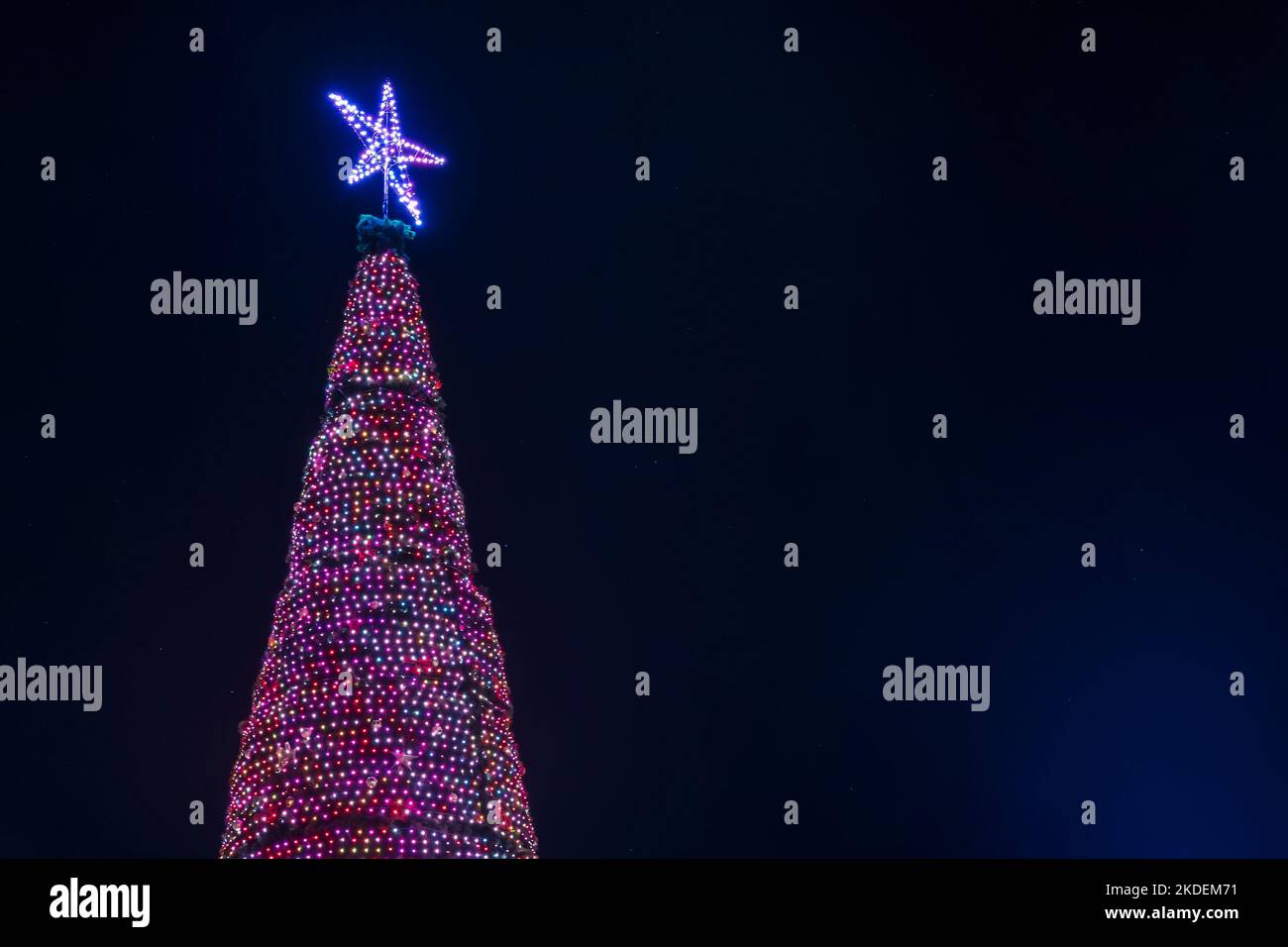 Großer Weihnachtsbaum, der am Victoria Square im zentralen Geschäftsviertel von Adelaide aufgestellt wurde, während er nachts beleuchtet wurde. Stockfoto