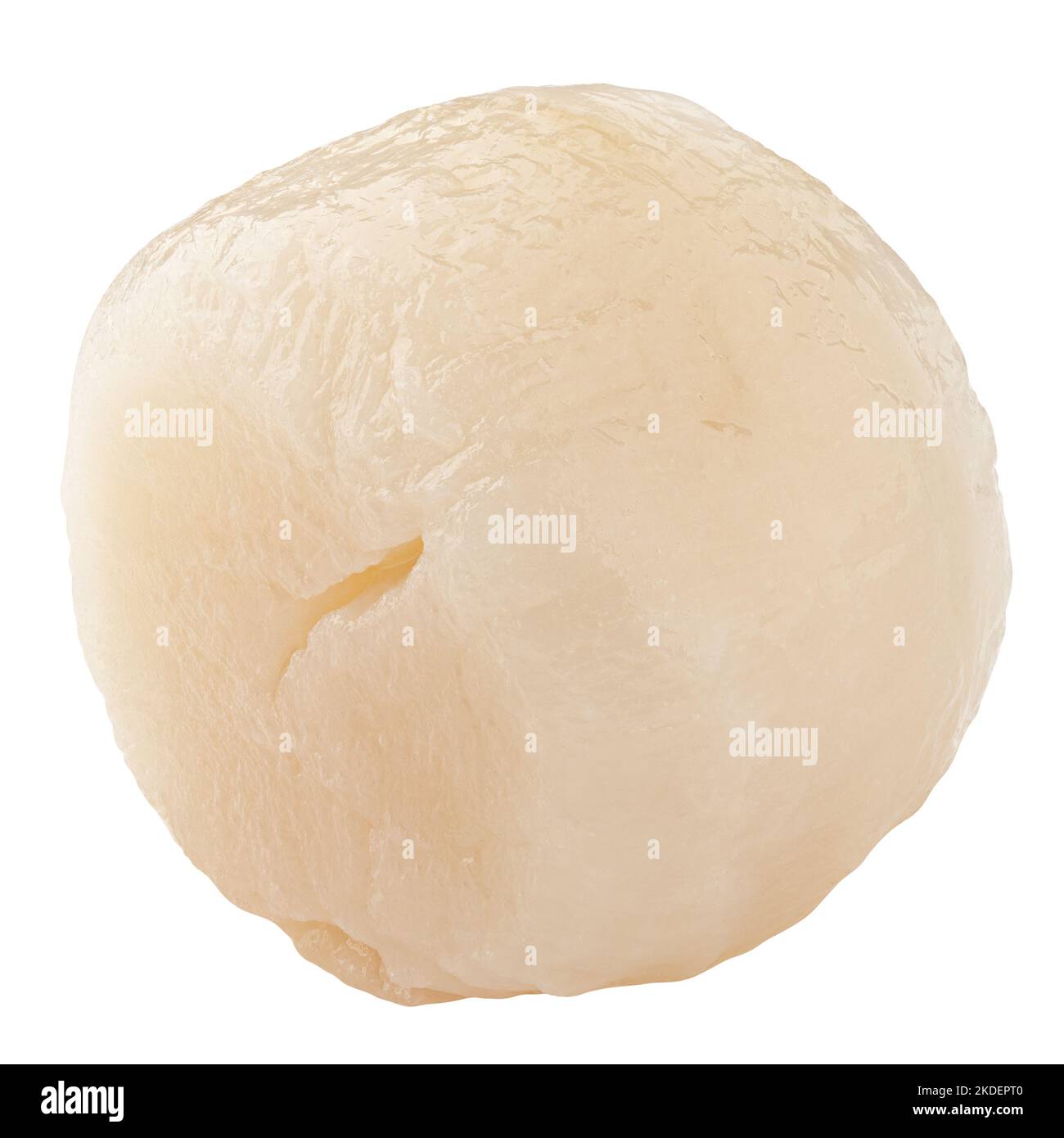 Jakobsmuschel isoliert auf weißem Hintergrund, Beschneidungspfad, volle Schärfentiefe Stockfoto