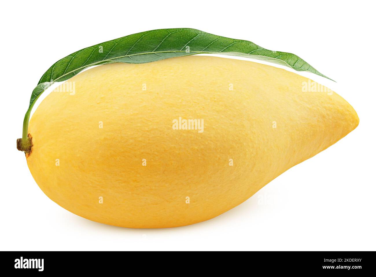Gelbe Mango isoliert auf weißem Hintergrund, Schnittpfad, volle Schärfentiefe Stockfoto