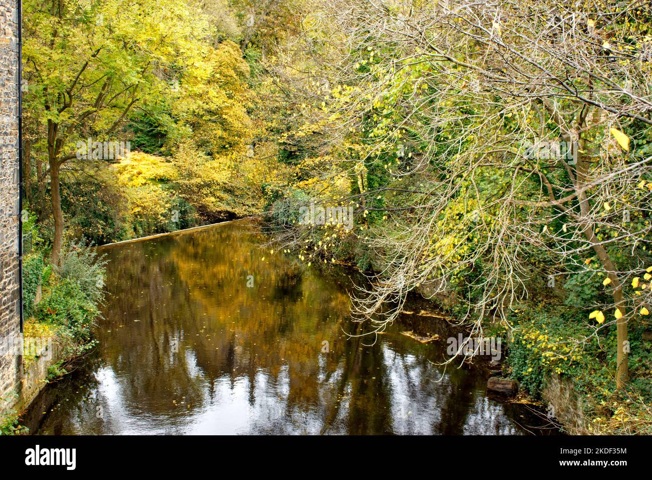 Edinburgh Schottland Dean Village Herbstreflexionen im Wasser des Leith River Stockfoto