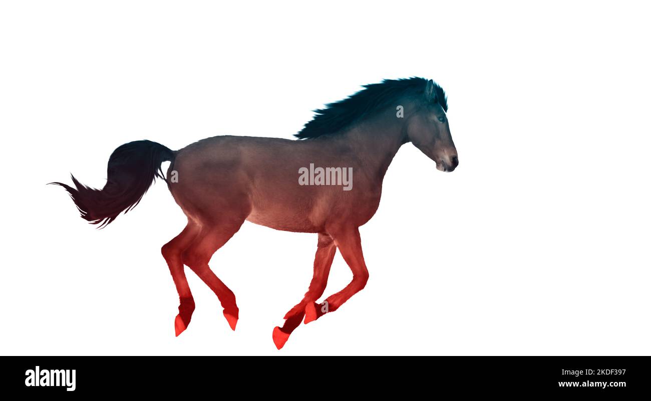 Braunes Pferd läuft in mystischen Farben Stockfoto
