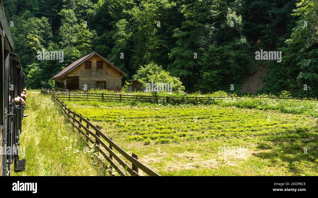 Alte Dampfeisenbahn, die entlang der Gleise schnuppert / Mocanita