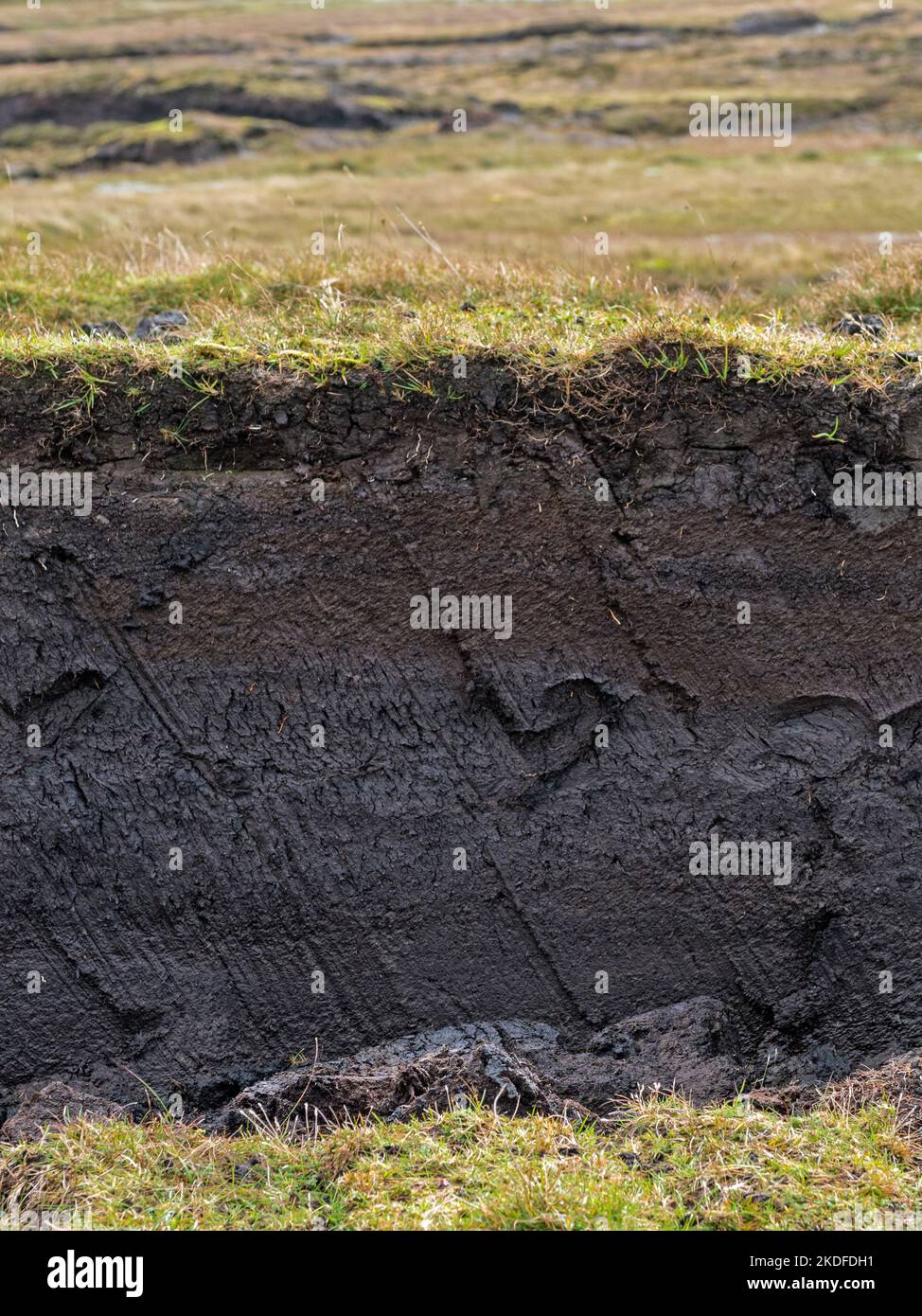 Frisch geschnittener Torf, Festland Shetland, Shetland, Schottland Stockfoto
