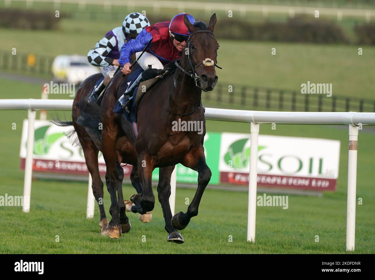 Sierra Blanca und Jockey Seamie Heffernan (rechts) auf dem Weg zum Gewinn des irischen Hengstparks EBF Maiden auf der Naas Racecourse in der Grafschaft Kildare, Irland. Bilddatum: Sonntag, 6. November 2022. Stockfoto