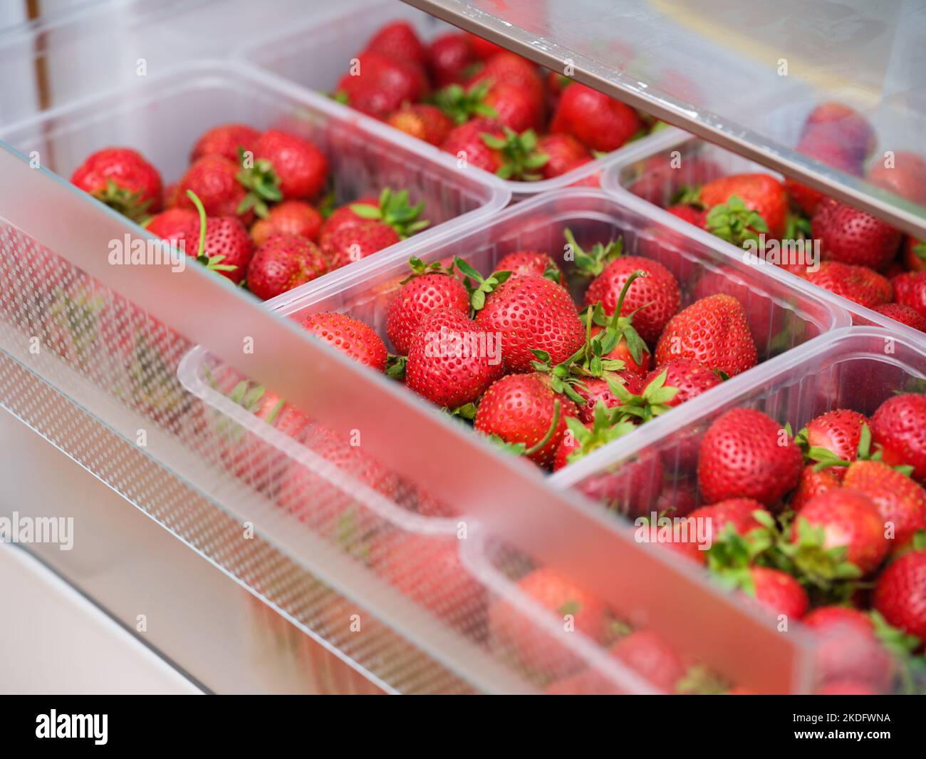 Einige Plastikbehälter voll mit roten Bio-Erdbeeren im Kühlschrank Stockfoto