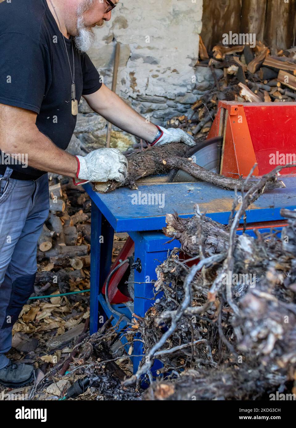 Mann schneidet Stämme von Apfelbäumen mit Kreissäge, um Brennholz für die Heizperiode vorzubereiten Stockfoto