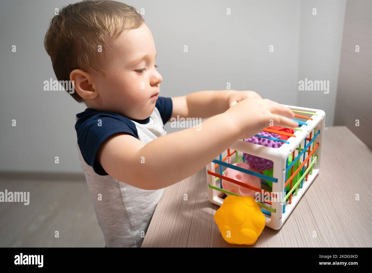 Ein süßes Kleinkind Junge spielt ein Spiel mit sensorischen bunten Kugeln. Sensorische und taktile Aktivitäten. Spiele für Kinder eineinhalb Jahre alt. Attenti Stockfoto