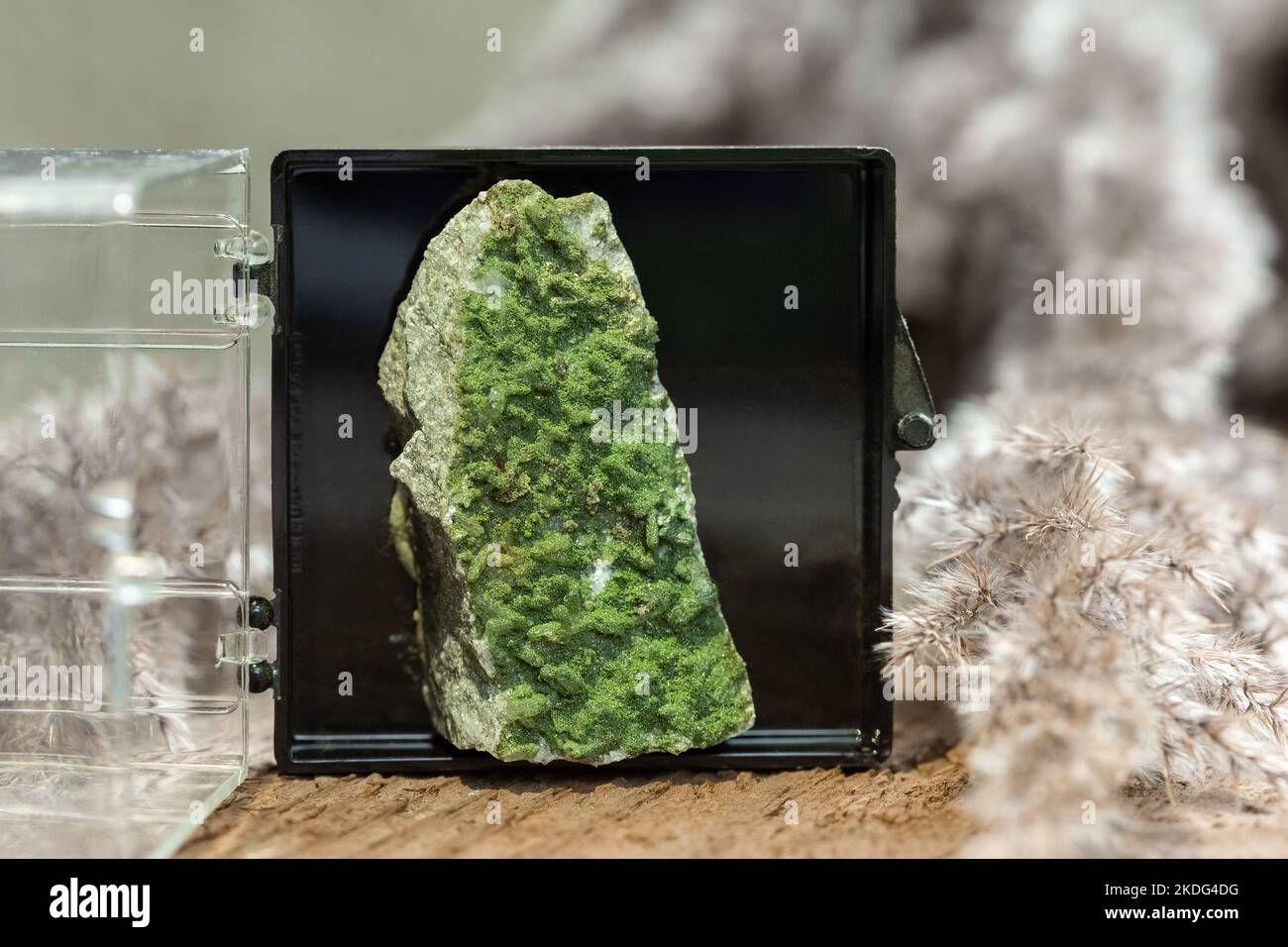 Grüner Chlorit mit kristalliner Quarzbildung in einem Probenfenster über natürlichem Hintergrund Stockfoto