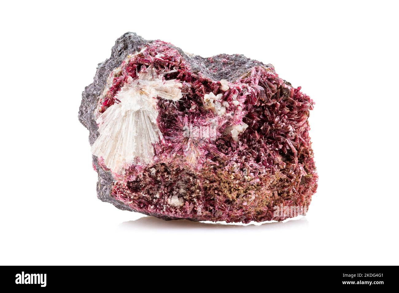 Nahaufnahme Foto von Crimson Erythrit Mineral Edelstein isoliert auf weißem Hintergrund Stockfoto