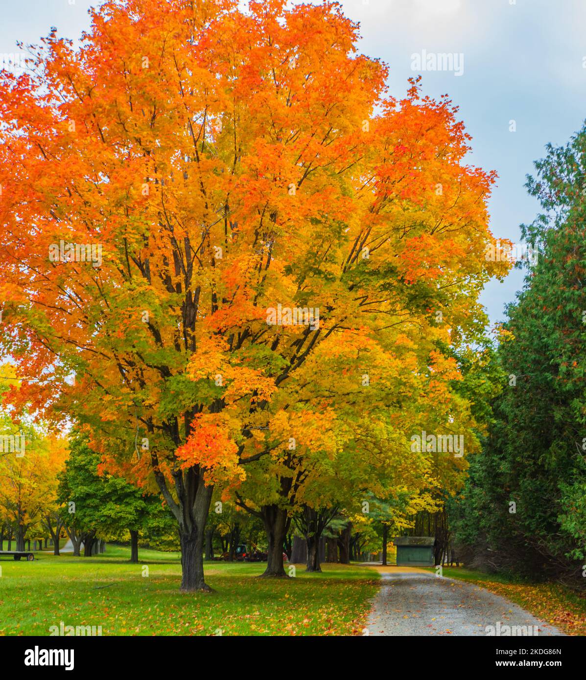 Herbst in Vermont auf einem Fußweg Stockfoto