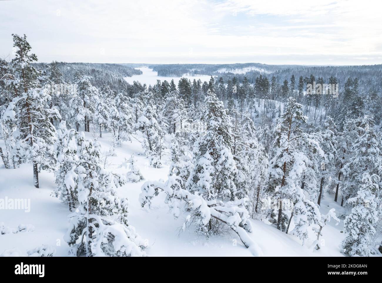 Luftaufnahme eines verschneiten Waldes im Winter in Finnland Stockfoto