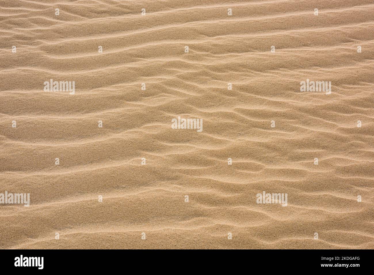 Strukturierte Sandkräuseln und Wellen bedecken eine Sanddüne und schaffen eine beruhigende Kulisse Stockfoto