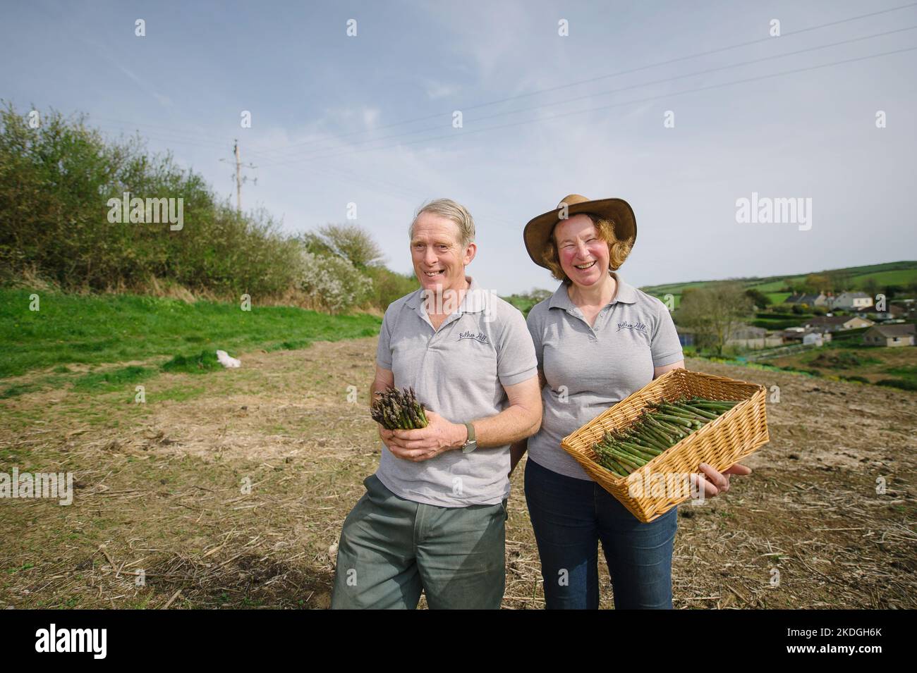 Bild von Jim Wileman - Anita und Mark DeGreeff von Bothen Hill, Bridport, Dorset, Spargel pflücken Stockfoto